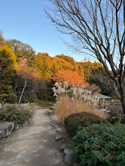 IMG_2025-12-19-143002