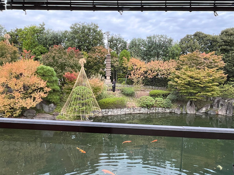 IMG_2025-11-03-174950