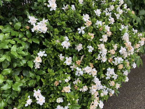 nIhUT%i4Q%GNYHwXJaiRMA