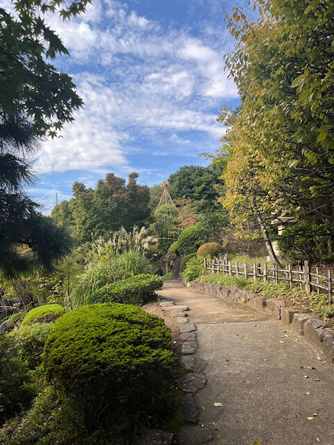 IMG_2025-10-30-125305