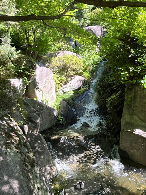 IMG_2026-06-20-185009