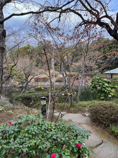 IMG_2026-01-24-095400