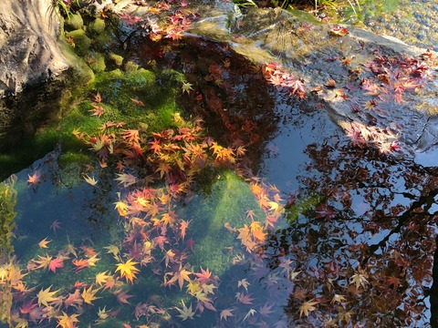 jk4lQ5%aSh25lJ22bMdwMQ