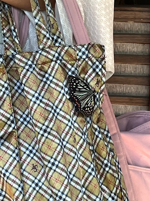 IMG_2025-08-28-141421