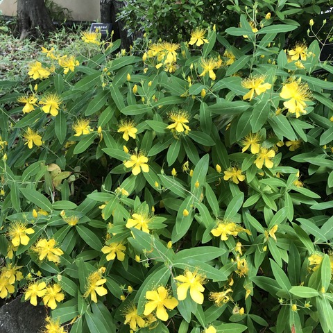 %7cQa4g3QLuTS5zR7KGK8w