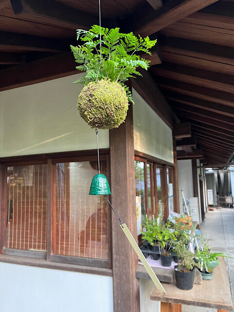 IMG_2025-08-22-132853