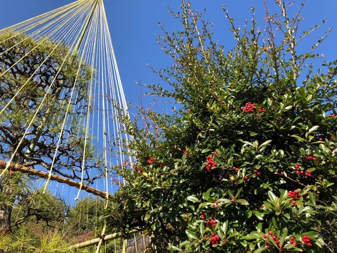 bvOIlAR5R%iRxEEc2TlUBA