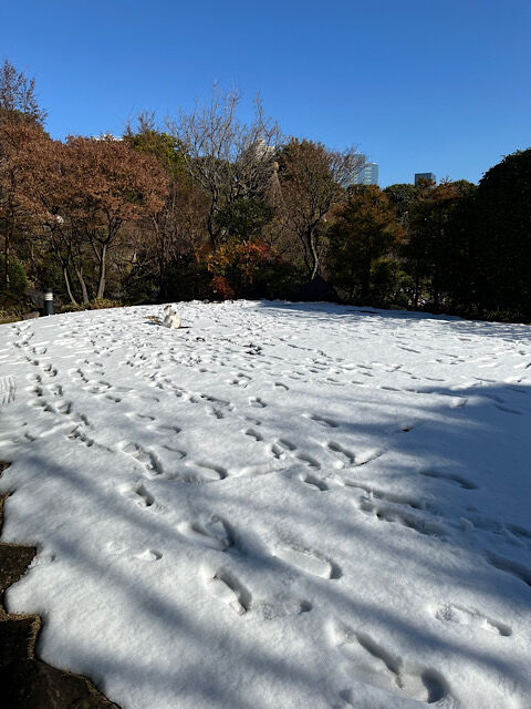 IMG_2024-02-09-132937