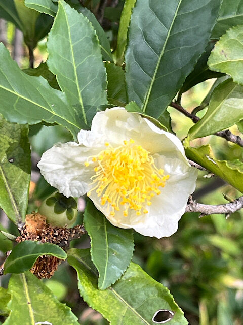 IMG_2025-11-03-175144