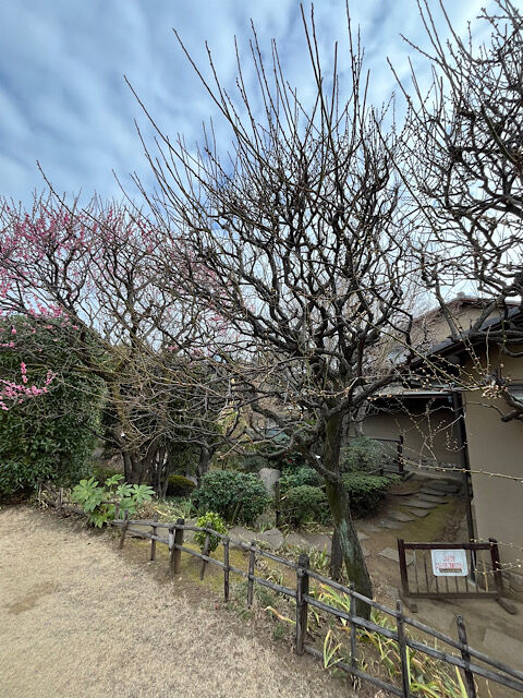 IMG_2026-01-30-090302