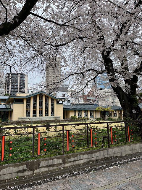 IMG_2025-04-04-102155