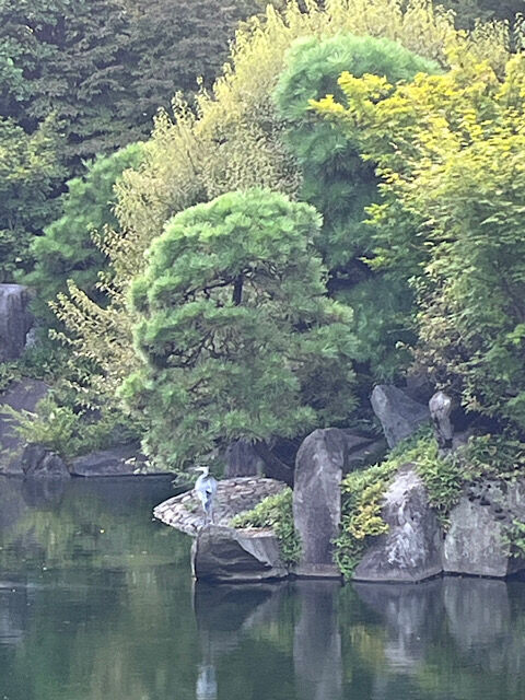 IMG_2025-08-22-133020