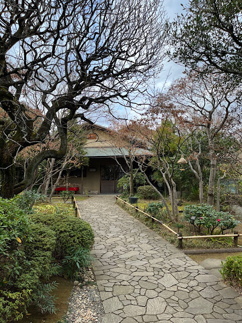 IMG_2026-01-24-095312