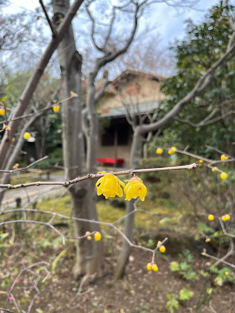 IMG_2026-01-30-085515