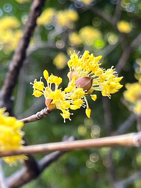 IMG_2024-03-15-130224