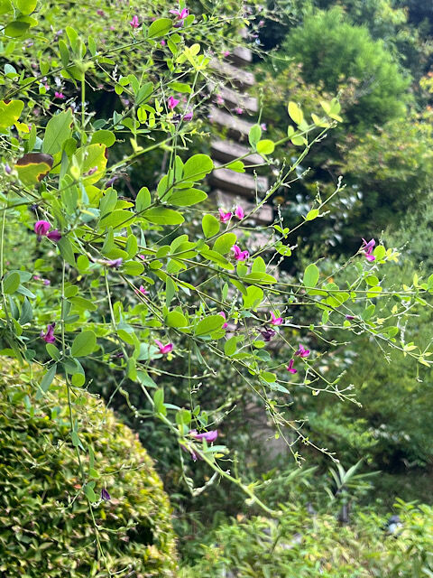 IMG_2025-09-12-154204