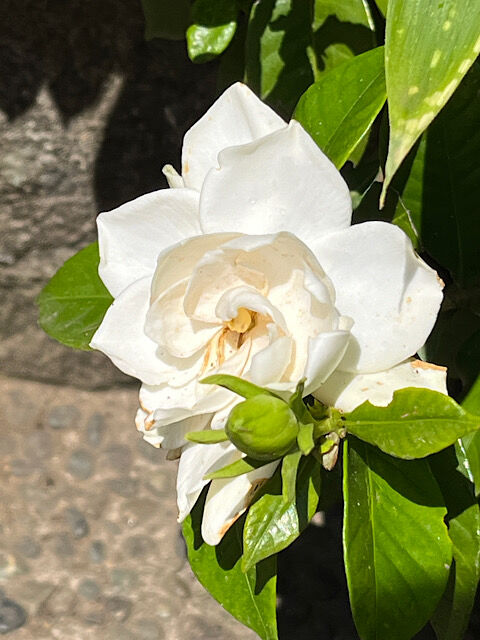 IMG_2024-06-07-125000