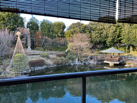 IMG_2025-03-21-100407