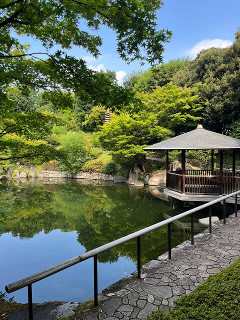 IMG_2025-09-12-154119