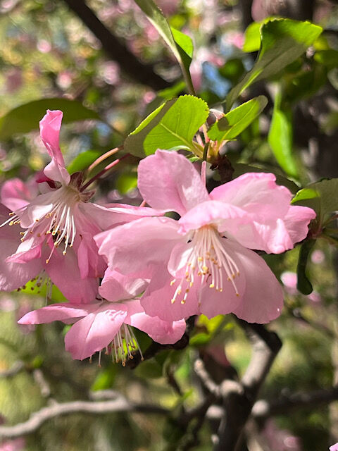 IMG_2026-04-10-133427