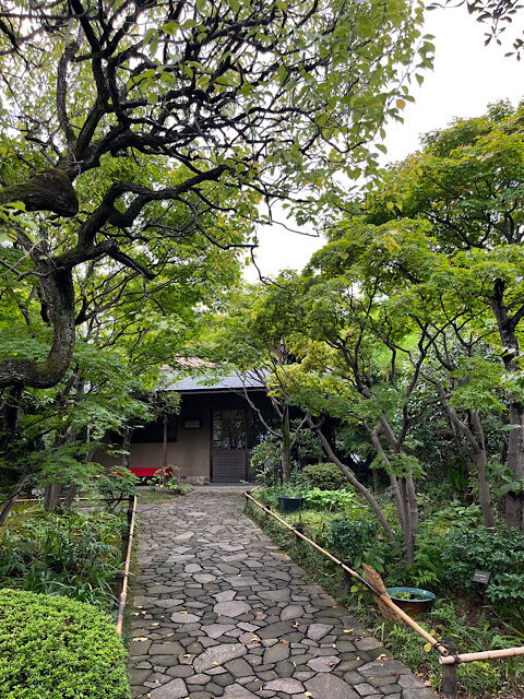 IMG_2025-10-18-095945