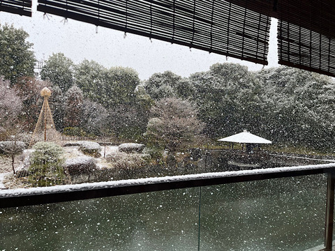 IMG_2025-03-21-100334