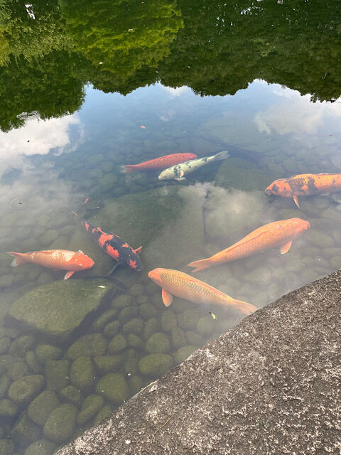 IMG_2025-09-12-154323