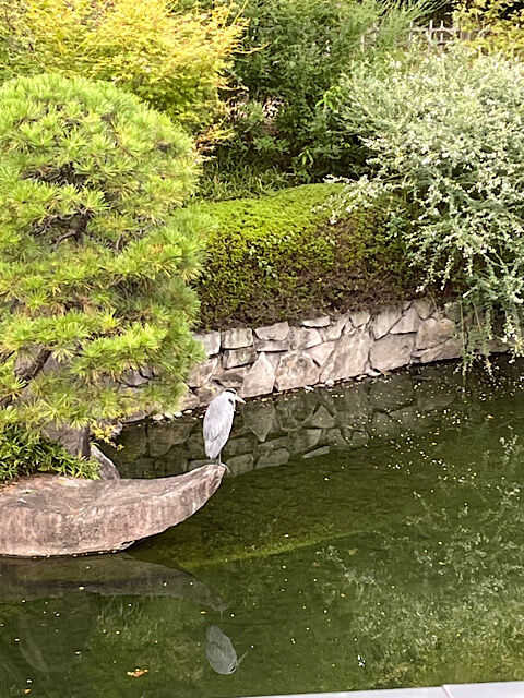 IMG_2025-10-10-105949