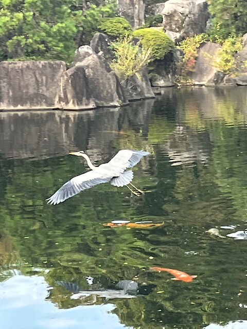 IMG_2025-10-30-125335