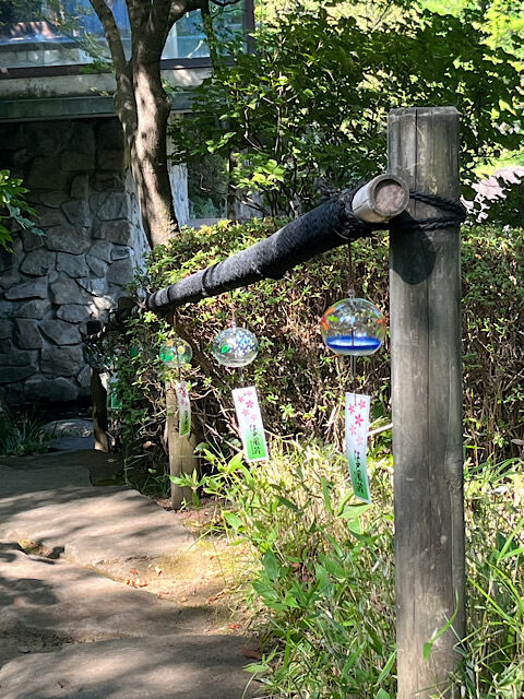 IMG_2025-08-28-141549