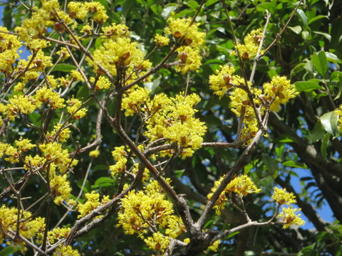 IMG_1957