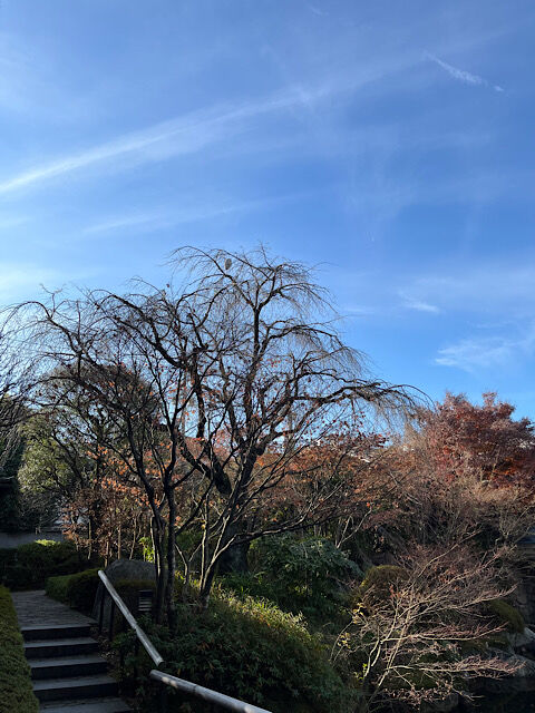 IMG_2024-12-27-132702
