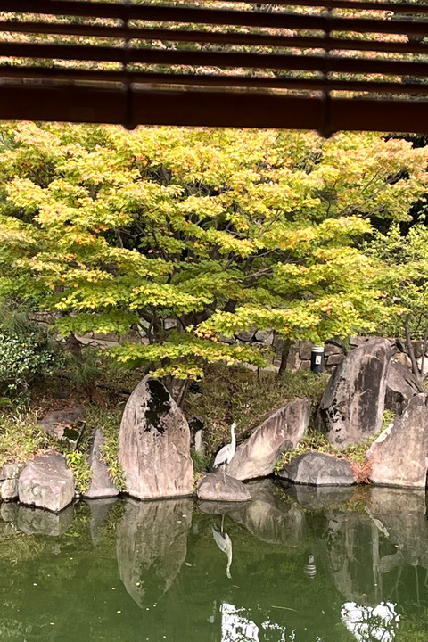 IMG_2025-11-03-175309