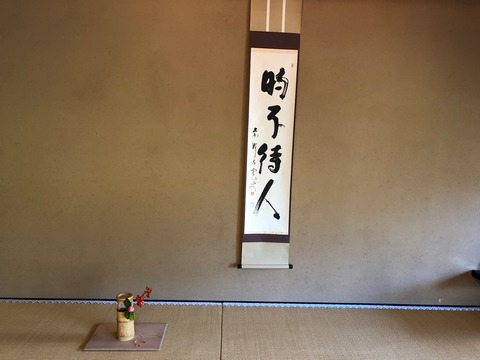 qmjp1VzCQLSKiuu3uEW2LQ