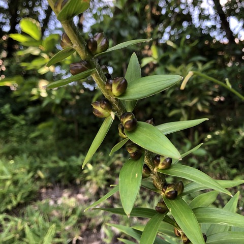 0w56yTNmTfCbqtRUHpR2Yg