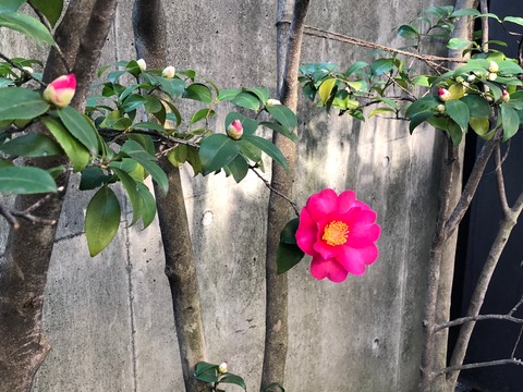 OoX%XNJlT+q7JwbZPe4Srw