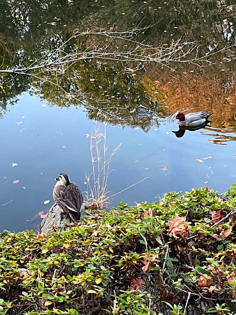 IMG_2025-12-19-143233