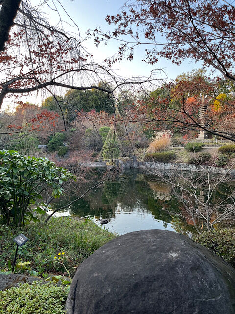 IMG_2025-12-19-142926