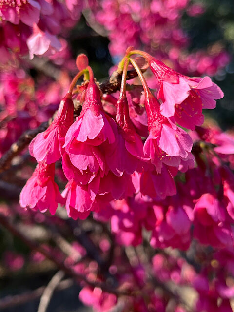 IMG_2026-03-13-134726
