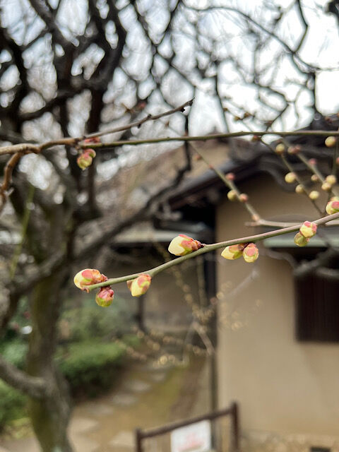 IMG_2026-01-30-090430