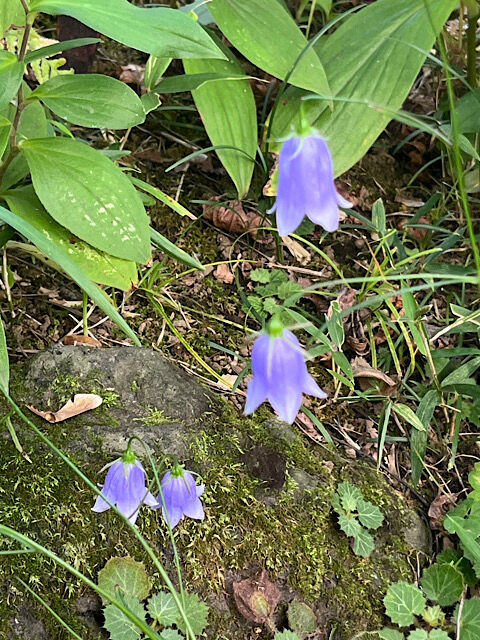 IMG_2025-10-30-125419