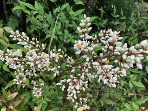 8qGiK6AhRWGS5wdw2tQomQ