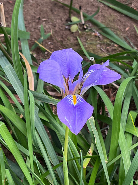 IMG_2026-01-30-090214