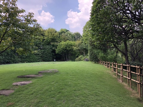 n0+NLJ2xQS6dkMxksHAcpg