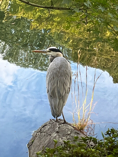 IMG_2025-10-30-125501