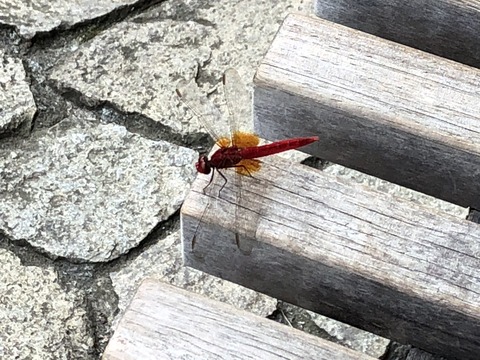 lFU3pZRDSUG5I5YX1fz1nQ