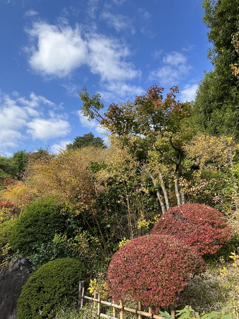 3E569949-2BBD-4710-8DDB-B4CA336FF179