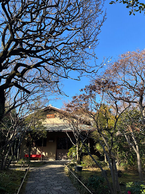 IMG_2026-02-06-184153