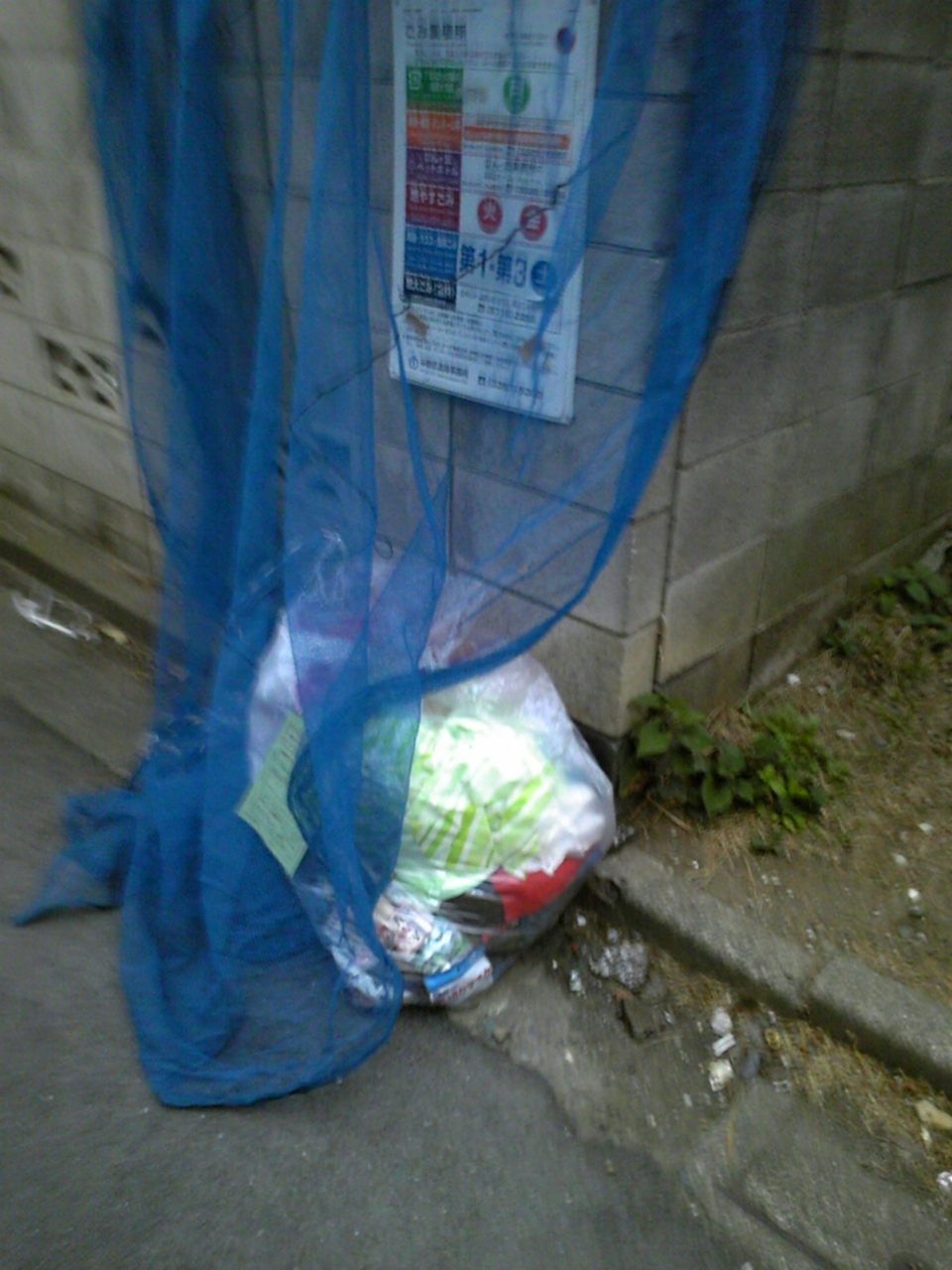 方 テンガ 捨て
