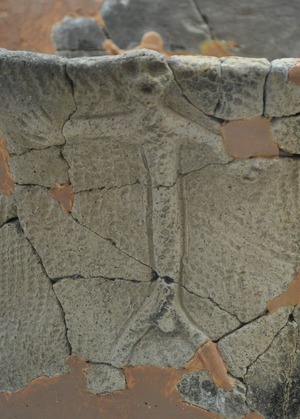 イザナギ男土器